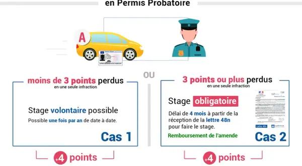 Le taux d'alcool autorisé pour un jeune conducteur en permis probatoire est implicitement abordé par les conséquences de la perte de points. L'image détaille les stages obligatoires ou volontaires selon le nombre de points perdus.