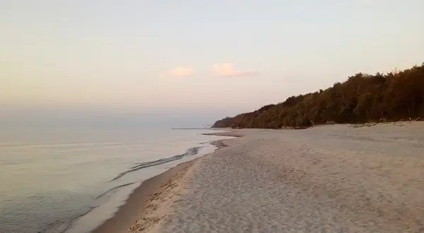 Spokojna plaża z piaszczystym brzegiem i lasem na wzgórzu. Idealne miejsce dla małych miejscowości nad morzem.