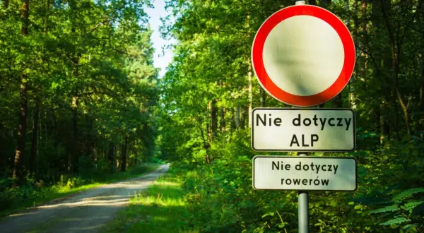 Znak zakaz ruchu na leśnej drodze. Nie dotyczy ALP i rowerów.