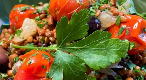 Ensalada de lentejas: receta fácil, trucos y beneficios que amarás