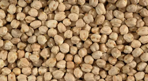 Nahaufnahme von trockenen Kichererbsen, bereit zur Zubereitung aus der Dose.