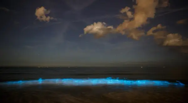 Nocne Malediwy, gdzie morze gwiazd rozświetla fale. Niebo pełne gwiazd i chmur nad spokojnym oceanem.