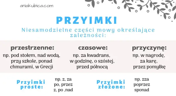 Grafika z napisem "PRZYIMKI" i przykładami przyimków przestrzennych, czasowych i przyczynowych.