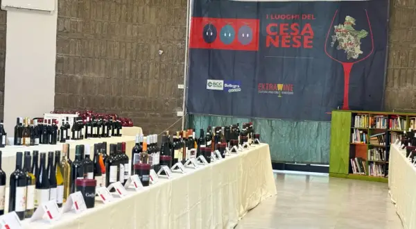 Banchetti pieni di bottiglie di vino, tra cui il Cesanese del Piglio, in un evento dedicato alla cultura enogastronomica.