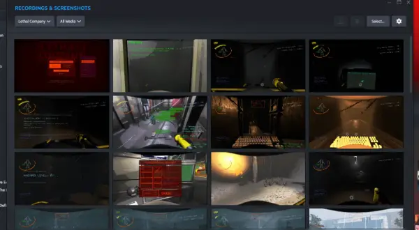 Miniaturki zrzutów ekranu z gry Lethal Company, widok okna Steam.