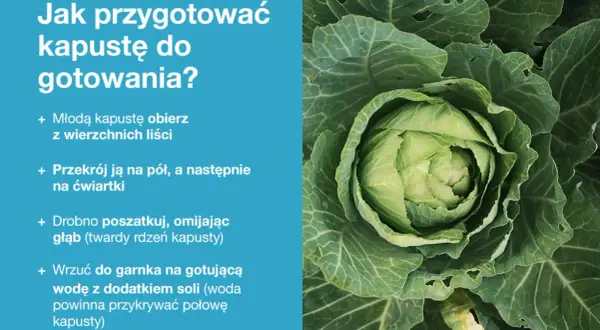 Młoda kapusta gotowa do gotowania. Dowiedz się, jakie przyprawy do młodej kapusty dodasz, by była pyszna.