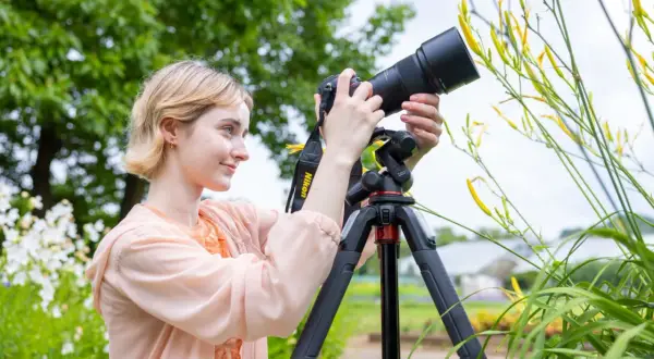 Kobieta z aparatem na statywie fotografuje żółte kwiaty w ogrodzie.
