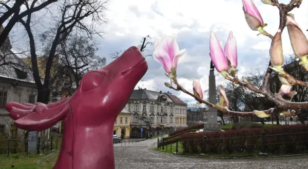 Różowa rzeźba jelenia na tle kwitnącej magnolii i kamiennych uliczek Cieszyna. Szlak magnolii w Cieszynie zaprasza do spacerów.