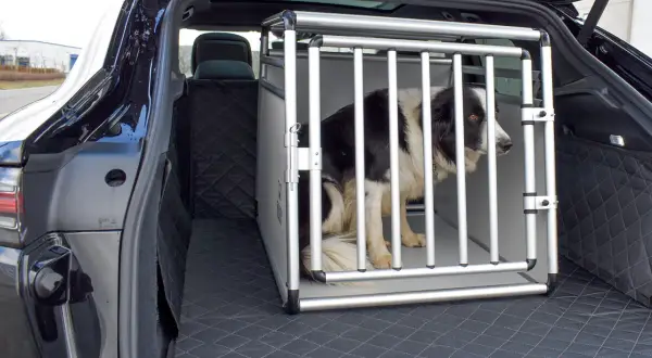 Un chien border collie dans une cage de transport en aluminium dans le coffre d'une voiture. La cage est bien positionnée, prête pour le voyage.