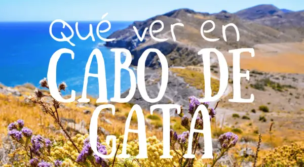 Paisaje de Cabo de Almería con flores moradas y amarillas en primer plano y el mar azul al fondo.