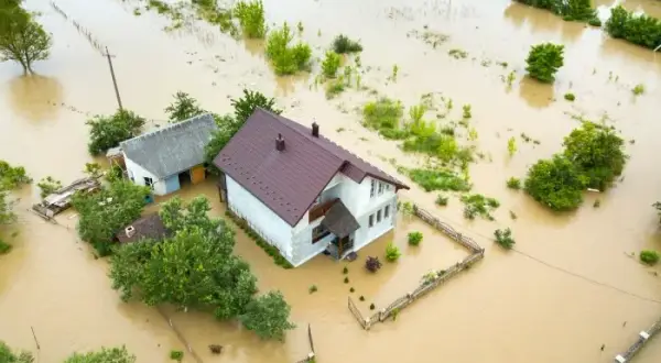 Skuteczne metody osuszania działki: uniknij problemów z wodą