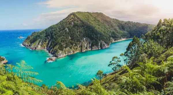 Bahía de aguas turquesas y vegetación exuberante, un rincón secreto con cosas escondidas que ver en Cantabria.