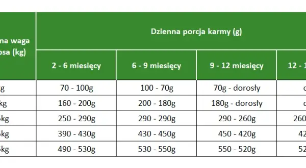 Co mogą jeść szczeniaki? Najlepsze pokarmy dla zdrowego wzrostu