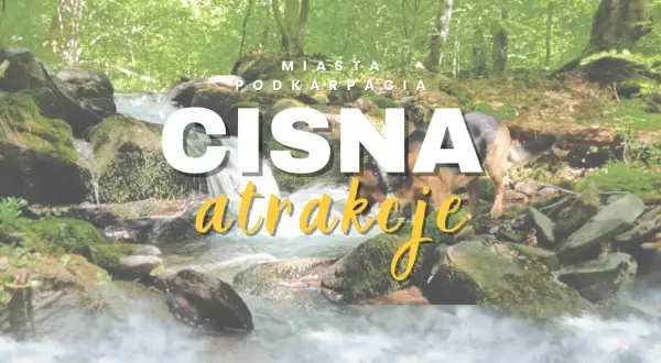 Najlepsze atrakcje w Nyíregyházie, które musisz zobaczyć podczas wizyty