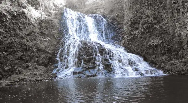 La cascade des Saliens dévale une paroi rocheuse verdoyante, se jetant dans un bassin paisible.