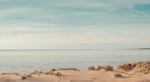 Sanddyner och gräs vid en lugn strand i Halland. Havet möter en ljus himmel med tunna moln.