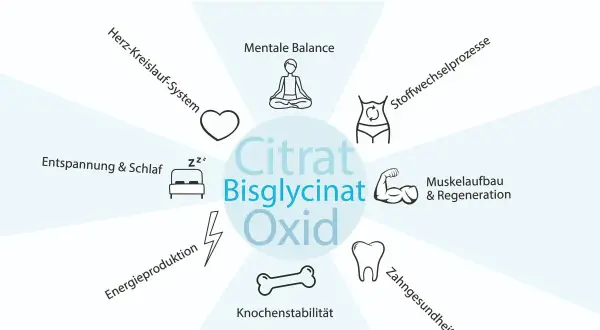 Magnesium unterstützt Muskelaufbau, Regeneration, Energie, Herz, Schlaf, Knochen & Zähne. Ein unterschätztes Mineral!