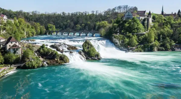 Breite, türkise Wasserströme stürzen über Felsen, umgeben von grünen Hügeln mit Häusern und einer Brücke. Die Rhine Waterfalls sind ein beeindruckendes Naturschauspiel.