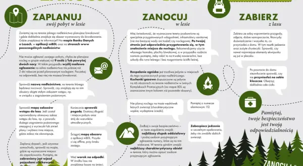 Planujesz nocleg w lesie? Sprawdź, co zabrać pod namiot: mapę, prognozę pogody, worek na śmieci i zabezpieczone jedzenie. Pamiętaj o bezpieczeństwie!