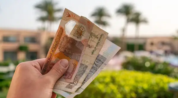 Dłoń trzyma banknoty funta egipskiego. Czy to lepsza opcja niż dolary czy euro na wakacjach w Egipcie?