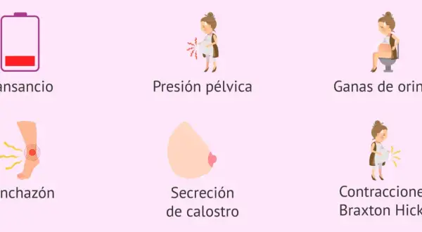 Ilustraciones de síntomas de embarazo: cansancio, presión pélvica, ganas de orinar, hinchazón, secreción de calostro y contracciones.