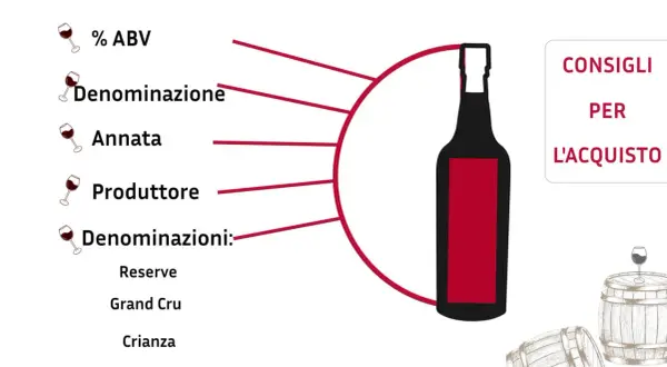 Consigli per l'acquisto di un vino, come un ottimo **cabernet sauvignon**, con dettagli su ABV, denominazione, annata, produttore e classificazioni.