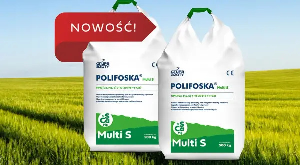 Dwie torby nawozu Polifoska 5 skład, z napisem "NOWOŚĆ!", na tle zielonego pola.
