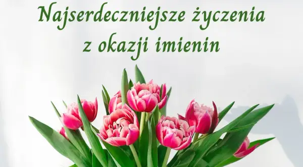 Najserdeczniejsze życzenia imieninowe dla mamy. Bukiet różowych tulipanów.