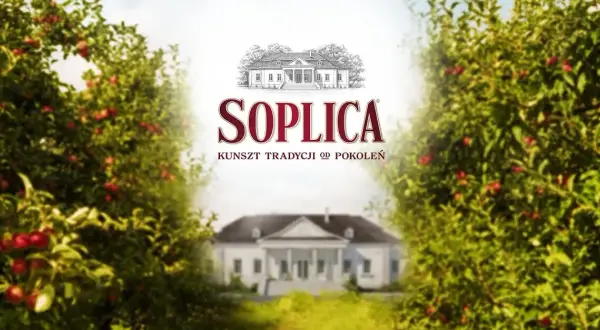 Soplica drink: proste przepisy na pyszne drinki w domu