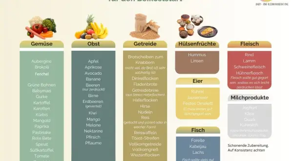 Infografik zur Beikost im Urlaub: Geeignete Lebensmittel wie Gemüse, Obst, Getreide, Hülsenfrüchte, Eier, Fisch, Fleisch und Milchprodukte.