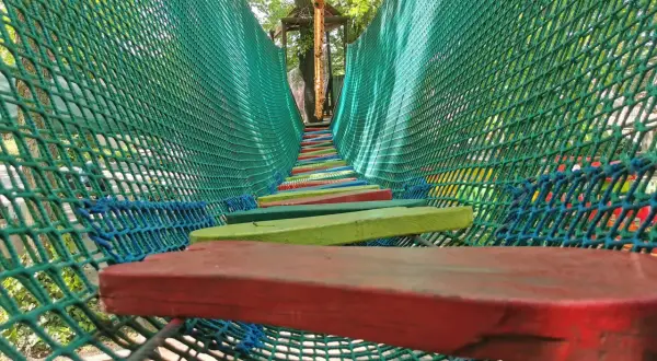 Park Linowy Jankowice: Rodzinna zabawa za 0 zł pod Poznaniem