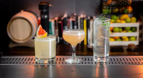 Tre läckra drinkar med gin står uppradade på en bardisk. En med grapefrukt, en i coupeglas och en longdrink med örter.