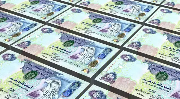 Banknoty 500 dirhamów, czyli jaka waluta w Dubaju. Widoczne są wizerunki sokołów i arabskie napisy.
