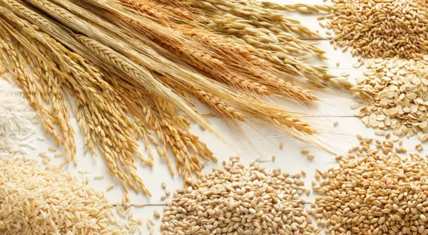 Kłosy zbóż, ryż, płatki owsiane i ziarna. To wszystko zawiera gluten, białko kluczowe w wypiekach.