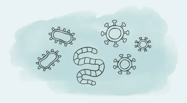 Bakterien, Viren und ein Wurm – Symbole für ansteckende Krankheiten, die uns alle betreffen können.