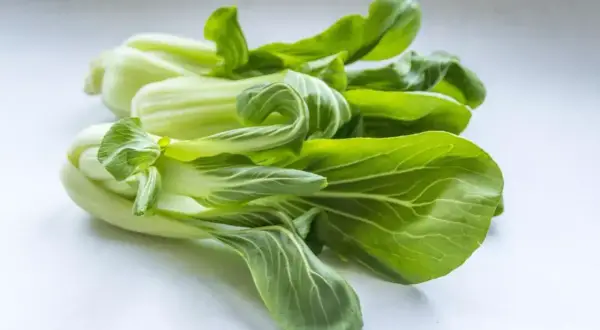 Pęczek świeżego pak choi, gotowy do posadzenia z nasion. Zielone liście i białe łodygi tworzą apetyczny widok.