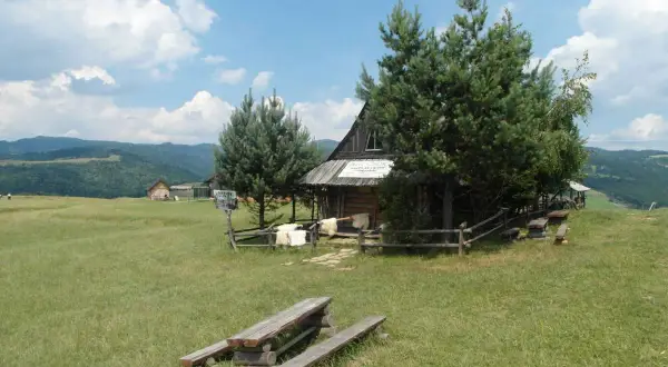 Drewniana bacówka z sosnami i ławkami na tle górskiego krajobrazu.