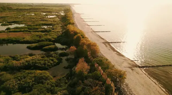 Malownicze wybrzeże polskie z piaszczystą plażą, lasem i mokradłami. Słońce odbija się w spokojnej wodzie.