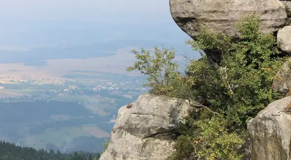 Góry stołowe z dziećmi w oddali, na pierwszym planie skalne formacje porośnięte zielenią.