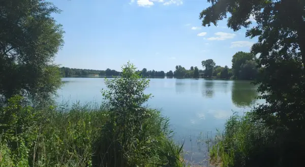 Spokojne żnin jezioro otoczone zielenią drzew i trzcin, z błękitnym niebem i białymi chmurami odbijającymi się w wodzie.