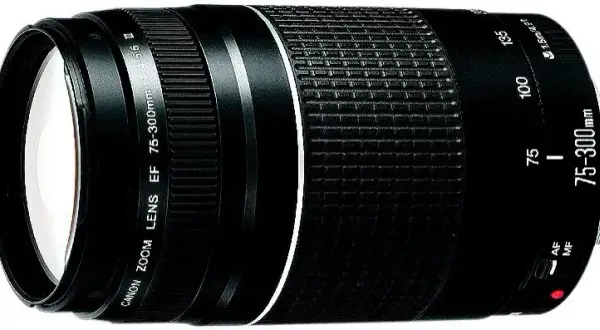 Canon 75-300mm: Do czego służy? Sprawdź możliwości!