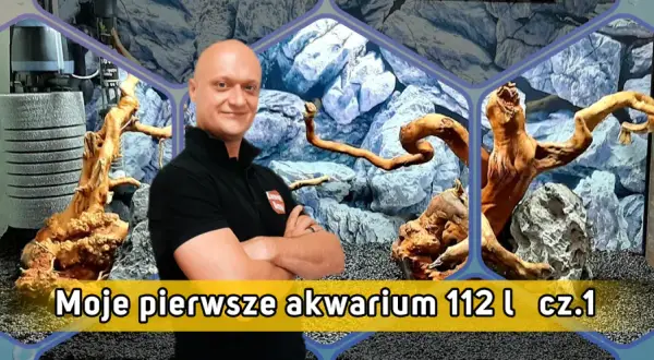 Jak urządzić akwarium 112l - uniknij najczęstszych błędów w aranżacji