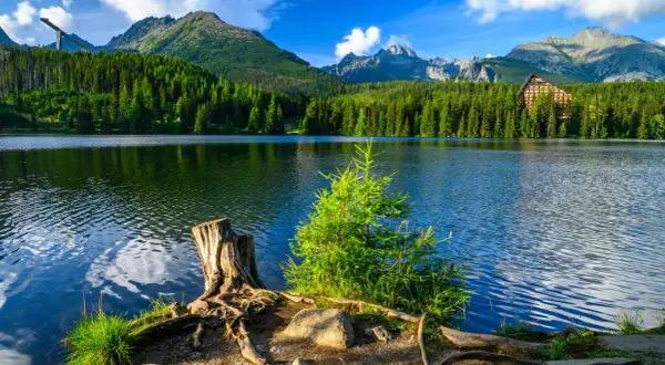 Jezioro otoczone lasem i górami, przypomina o tym, ile jest parków narodowych.