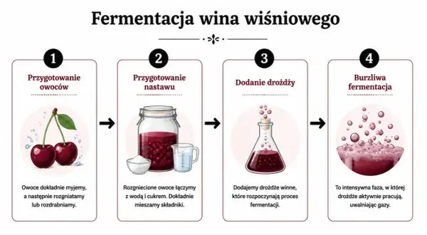 Proces tworzenia duńskiego wina z wiśni: mycie i rozgniatanie owoców, dodanie wody i cukru, drożdży, a następnie burzliwa fermentacja.