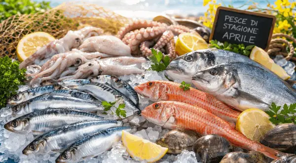 Pesce bianco quali sono: orate, triglie, sardine, calamari e polpi freschi su ghiaccio, con limone e prezzemolo.