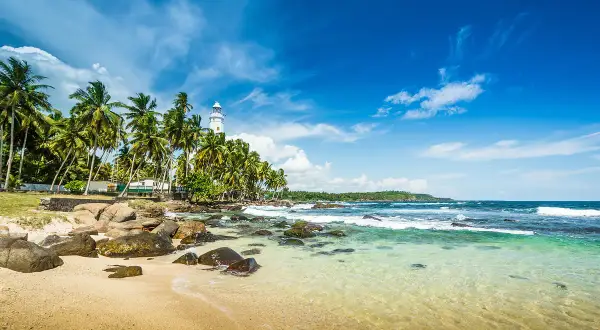 Tropikalna plaża na Sri Lance z latarnią morską i palmami. Po szczepieniach można tu bezpiecznie wypoczywać.