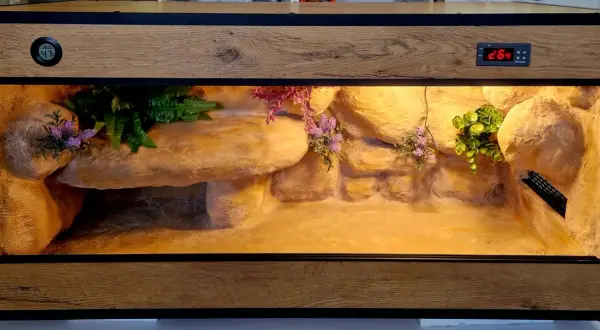 Ile kosztuje terrarium dla żółwia? Ceny, które zaskoczą każdego