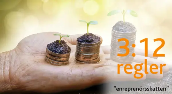 En hand håller tre myntstaplar med växande plantor. Texten "3:12 regler" och "entreprenörsskatten" antyder en berättelse om företagande.