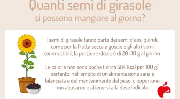 Semi di girasole: la porzione ideale è 20-30g. Attenzione alle calorie e alle controindicazioni se se ne abusa.