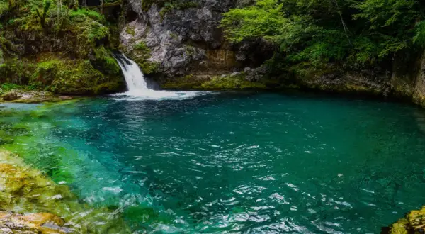 Le "Blue Eye" d'Albanie, une source d'eau cristalline aux nuances turquoise et émeraude, se jette dans un bassin naturel entouré de verdure luxuriante.